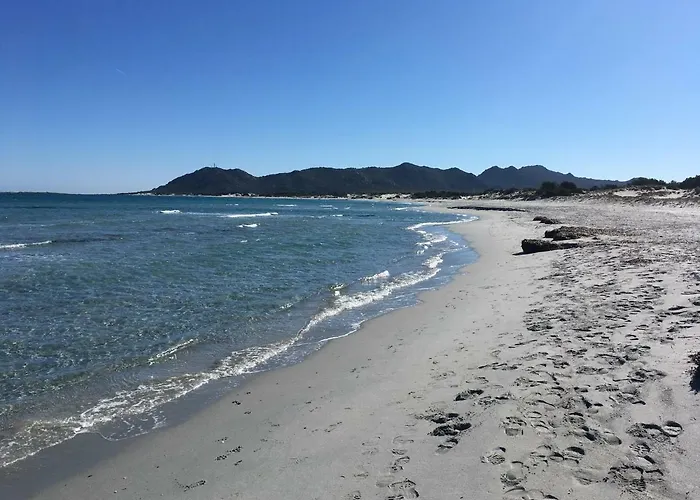 Azalee P2228 Santa Lucia (Sardinia)